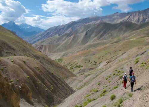 Dzo-Jongo-(6280 Metres)-image-2-trekkinginladakhzanskar.com