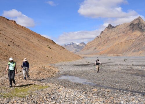 Hemis-to-Tsomoriri-Trek-image-1-trekkinginladakhzanskar.com
