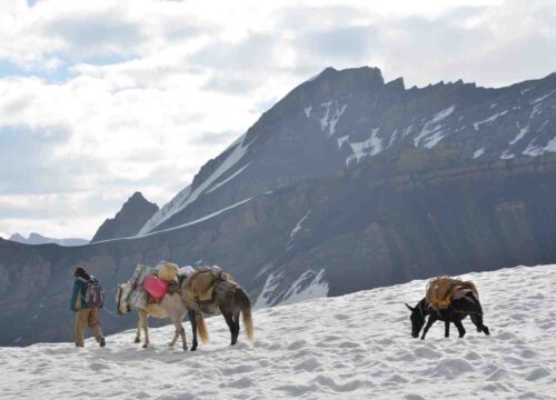 Kangyatse-6170-meters-image-5-trekkinginladakhzanskar.com