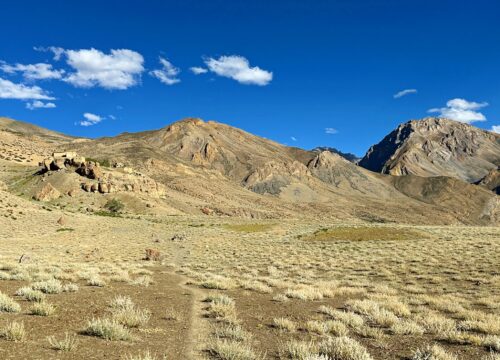 Ladakh-Tour-4-Nights-5-Days-(Indus + Pangong)-image-4-trekkinginladakhzanskar.com
