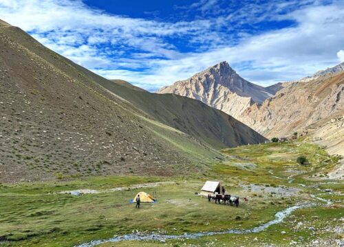 Ladakh-Tour-5-Nights-6-Days-(Indus + Nubra+ Pangong)-image-3-trekkinginladakhzanskar.com