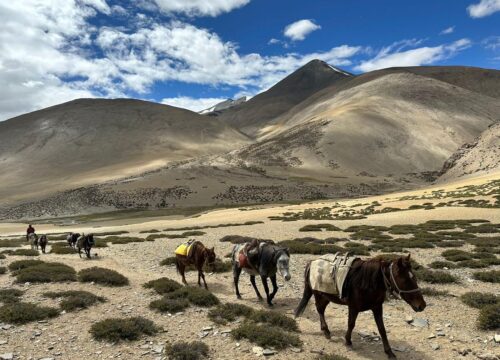Ladakh-Tour-6-Nights-7-Days-(Indus + Lamayuru + Nubra + Pangong)-image-5-trekkinginladakhzanskar.com