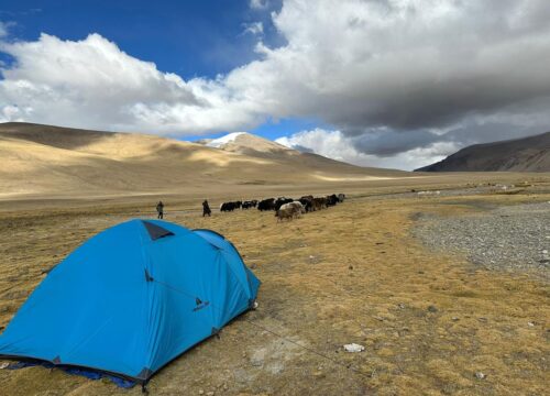 Ladakh-Tour-7-Nights-8-Days-(Indus + Nubra + Tsomoriri)-image-2-trekkinginladakhzanskar.com