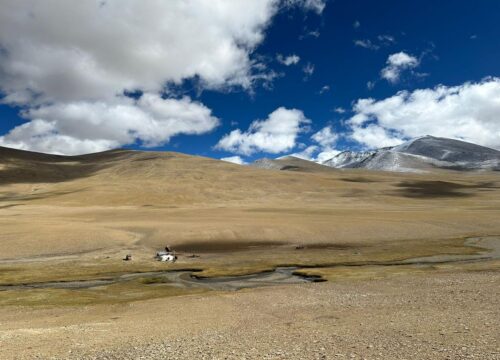 Ladakh-Tour-7-Nights-8-Days-(Indus + Nubra + Tsomoriri)-image-4-trekkinginladakhzanskar.com
