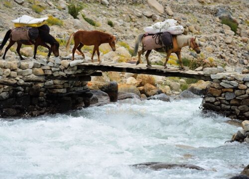 Lamayuru-to-Alchi-Trek-via-TarLa-Pass-image-1-trekkinginladakhzanskar.com