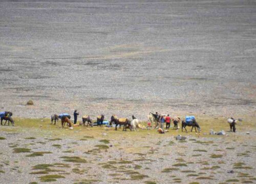 Lamayuru-to-Hemis-Trek-image-1-trekkinginladakhzanskar.com