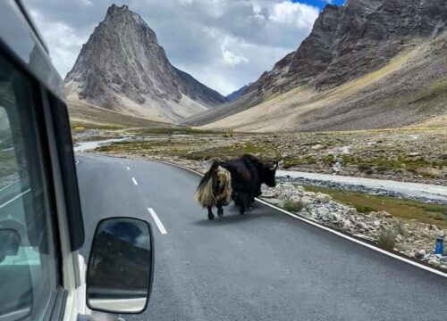 Manali-Kashmir-Via-Zanskar-(7 Days)-image-1-trekkinginladakhzanskar.com