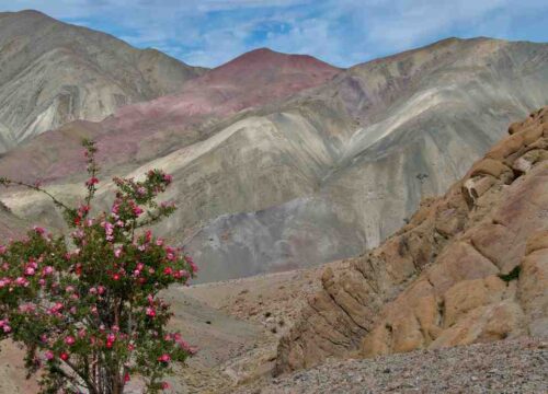 Markha-Valley-Trek-from-Spituk-image-5-trekkinginladakhzanskar.com