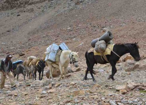 Mentok-Kangri-(6277 Metres)-image-3-trekkinginladakhzanskar.com
