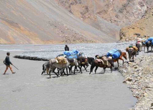 Rangdum-to-Lamayuru-Trek-via-Kanji-La-image-1-trekkinginladakhzanskar.com
