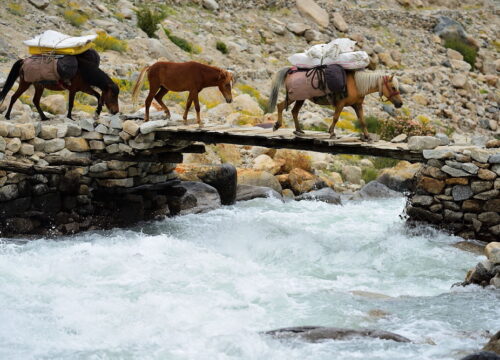 Saboo-to-Khalsar-Trek-(Nubra Valley)-image-10-trekkinginladakhzanskar.com