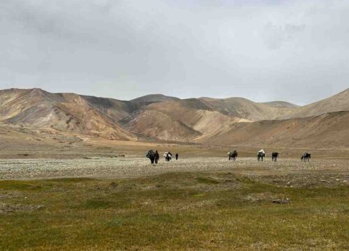 Sarchu-to-Padum-Trek-via-Phitsela-(Zanskar Valley)-image-1-trekkinginladakhzanskar.com