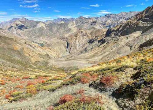 Sarchu-to-Padum-Trek-via-Phitsela-(Zanskar Valley)-image-5-trekkinginladakhzanskar.com