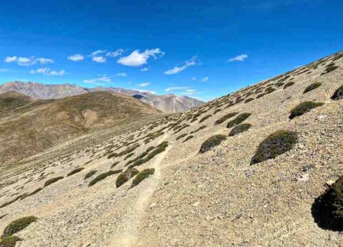 Sarchu-to-Padum-Trek-via-Phitsela-(Zanskar Valley)-image-7-trekkinginladakhzanskar.com