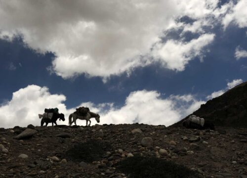 Stok-Kangri-from-Spituk-image-3-trekkinginladakhzanskar.com