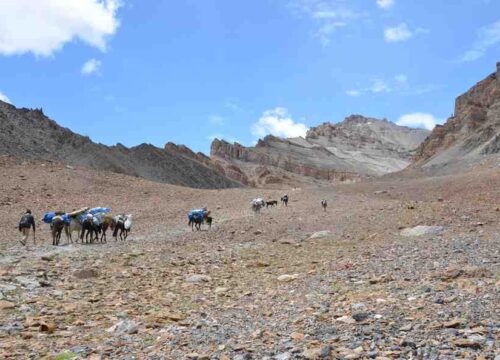 Tsomoriri-to-Kibber-Trek-via-Parangla-Pass-image-3-trekkinginladakhzanskar.com
