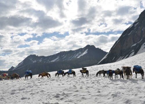 trekking1525515186 (1)