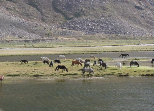 trekking1525515983