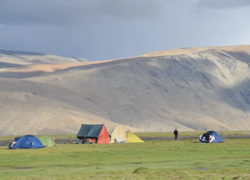 Top 10 Benefits of Hiring a Local Travel Agent in Leh for Your Ladakh Trek