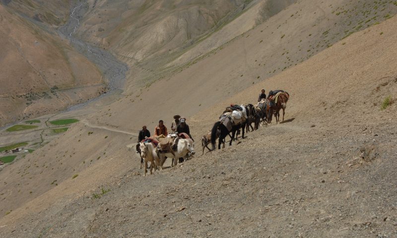 Kanji-to-Padum-Trek-(Zanskar)-featured-image-trekkinginladakhzanskar.com