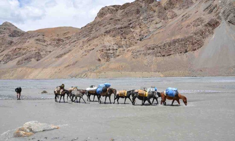 Rumtse-to-Tsomoriri-Trek-featured-image-trekkinginladakhzanskar.com