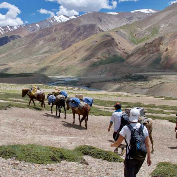 Trekking-in-Ladakh-and-Zanskar-icon-1579878842.jpg